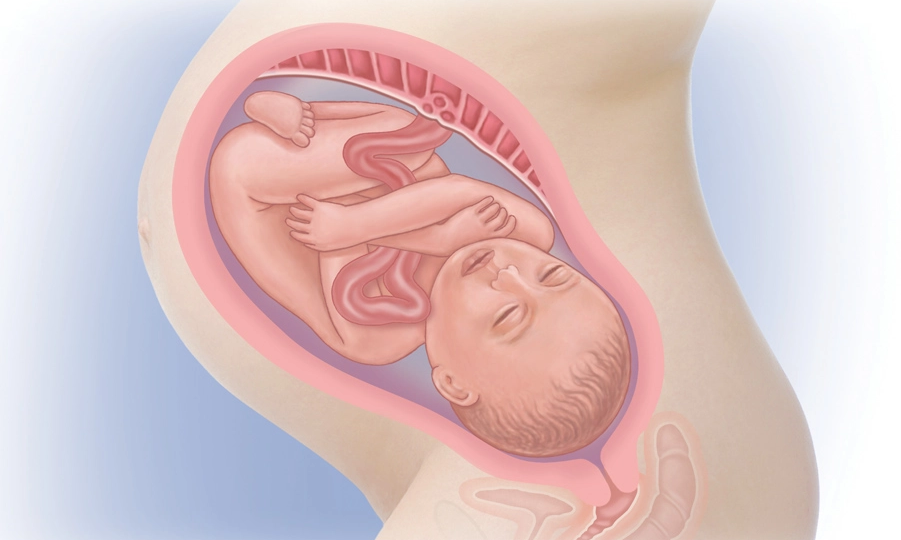 39 неделя беременности: как протекает, ощущения и состояние женщины