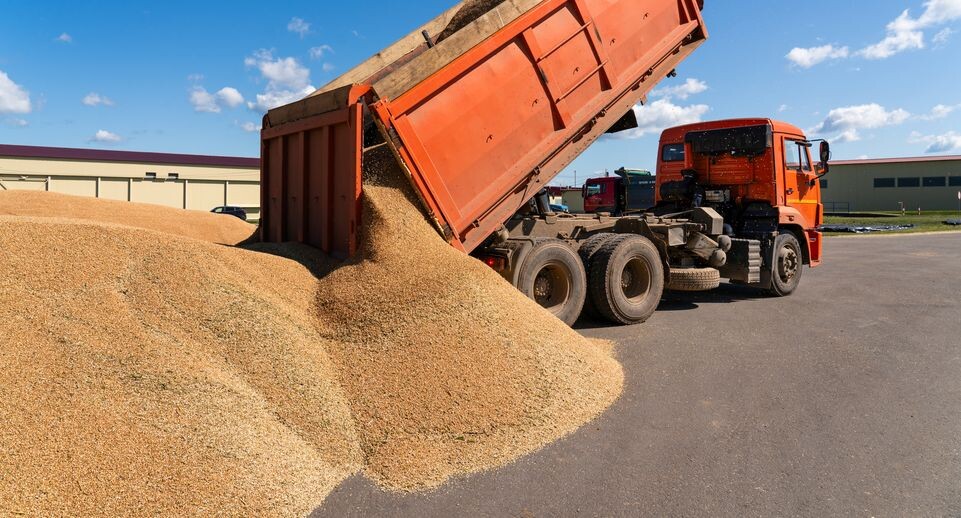    Медиасток.рф