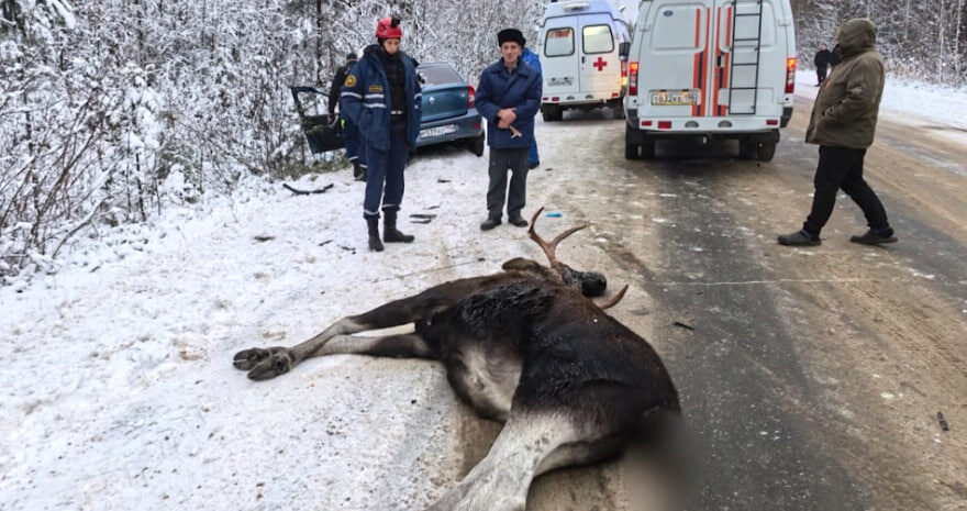     Фото: Центр защиты населения