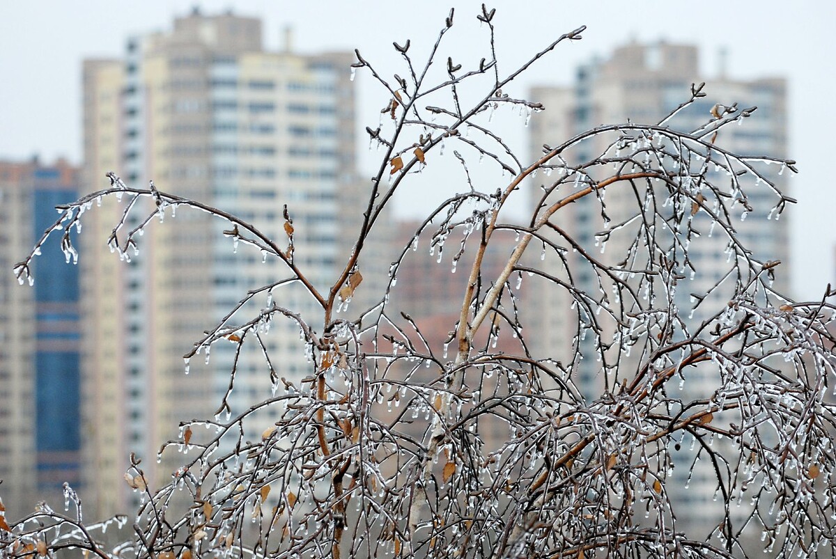     / Источник: © Alexander Legky/Global Look Press