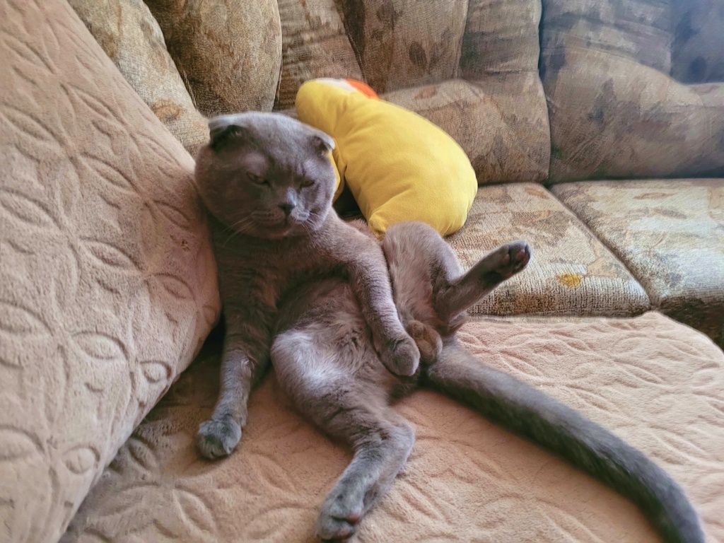 О чем думает?