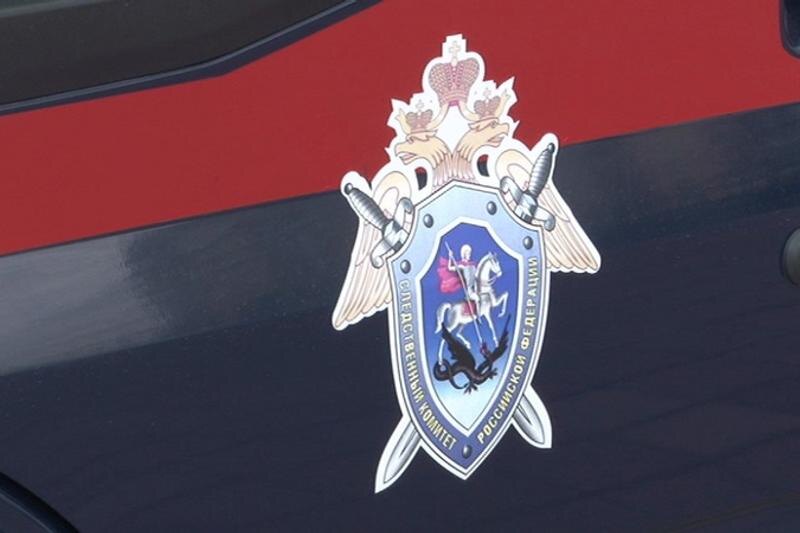    Фото: сайт СКР / Логотип Следственного комитета РФ