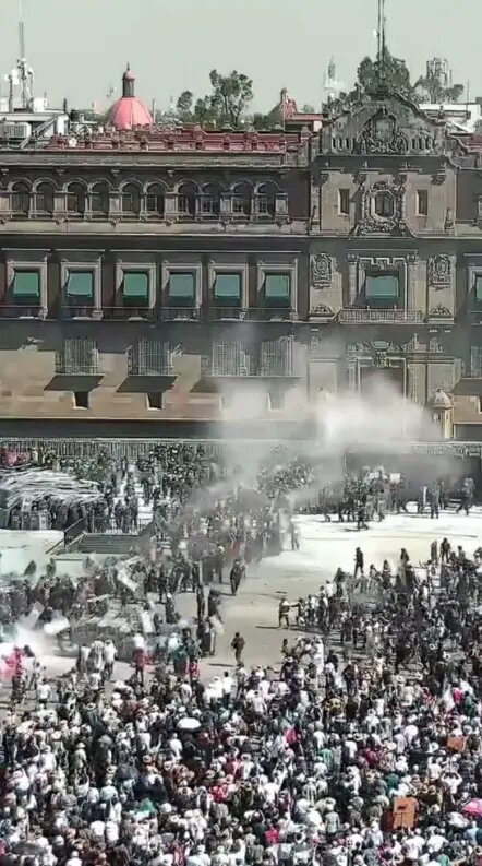    Фото: скриншот видео из соцсетей