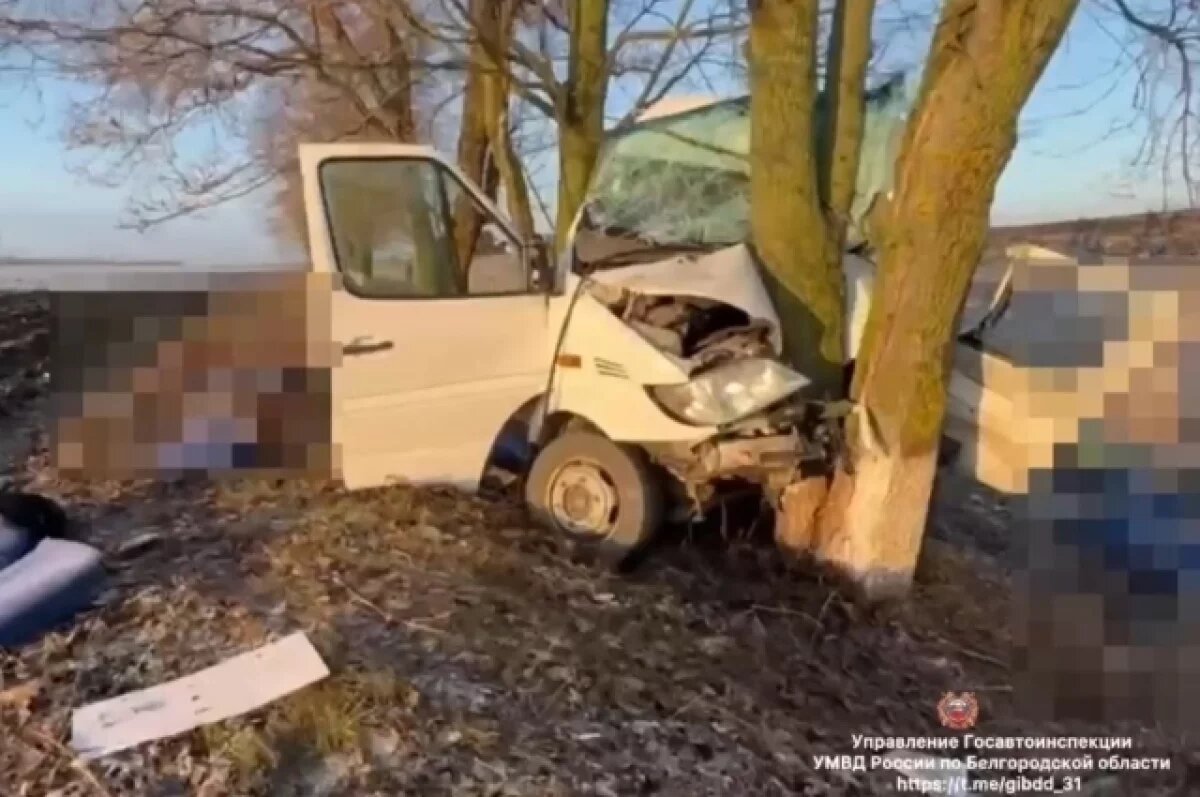    Под Белгородом погибли два человека в ДТП с микроавтобусом и грузовиком