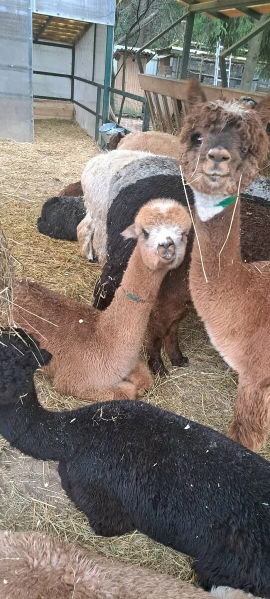 Листайте вправо, чтобы увидеть больше изображений