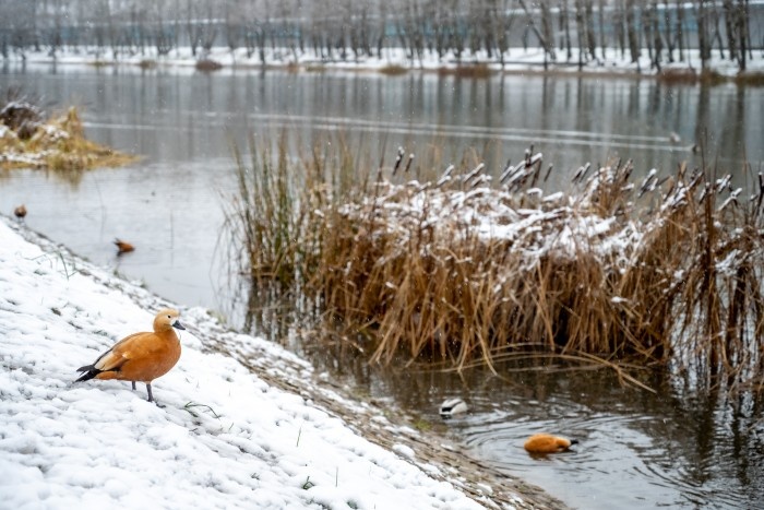 Фото: Юлия Федотова