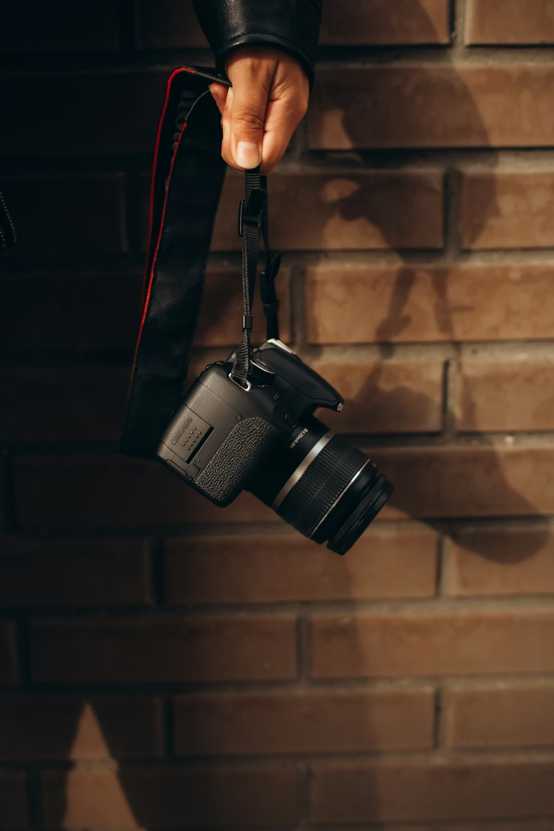 Фото  @alinabondar.ph