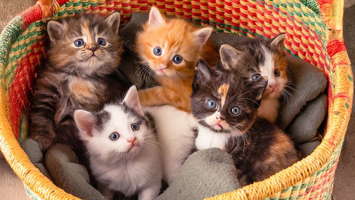 Фотография из Интернета