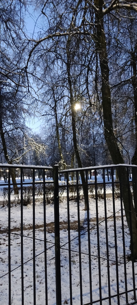 Сегодня утром случился первый ощутимый морозец, а снег выпал ещё вчера (был мокрый, а за ночь замёрз!)