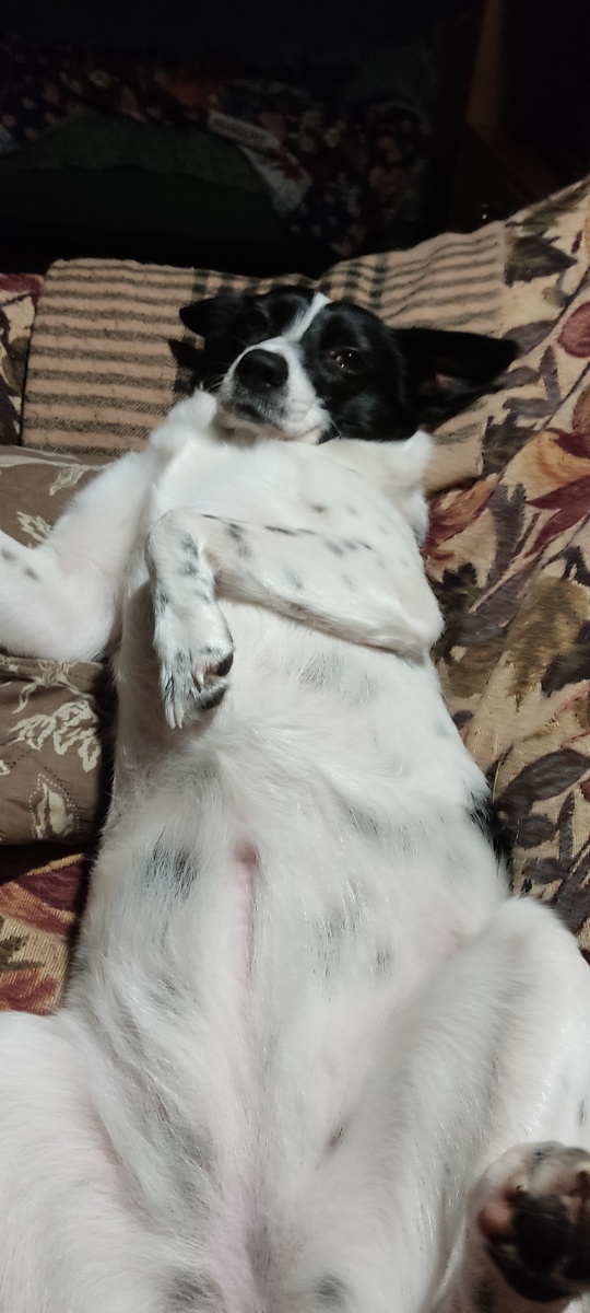 А вот некоторые только балдеют))