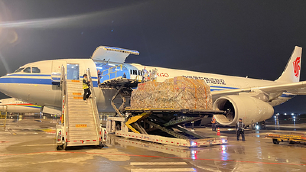    Фото: Xie Jiao/XinHua/Globallookpress