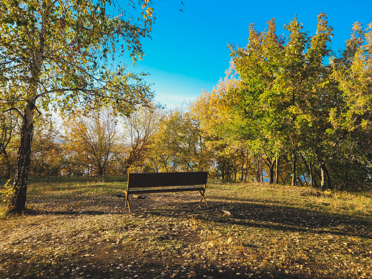 Фото: Самара-ГИС