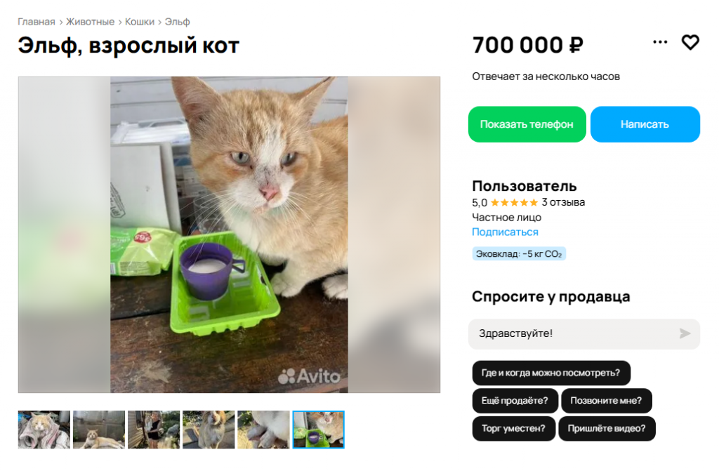 Листайте вправо, чтобы увидеть больше изображений