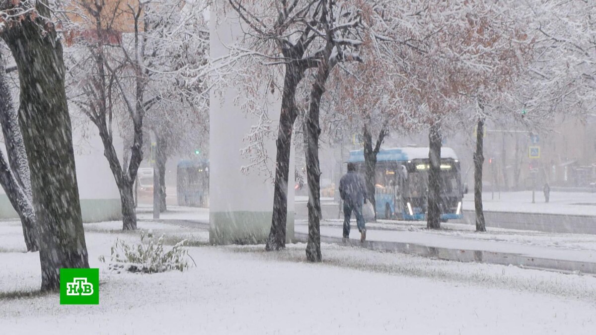    В Москве выпадет треть месячной нормы осадков