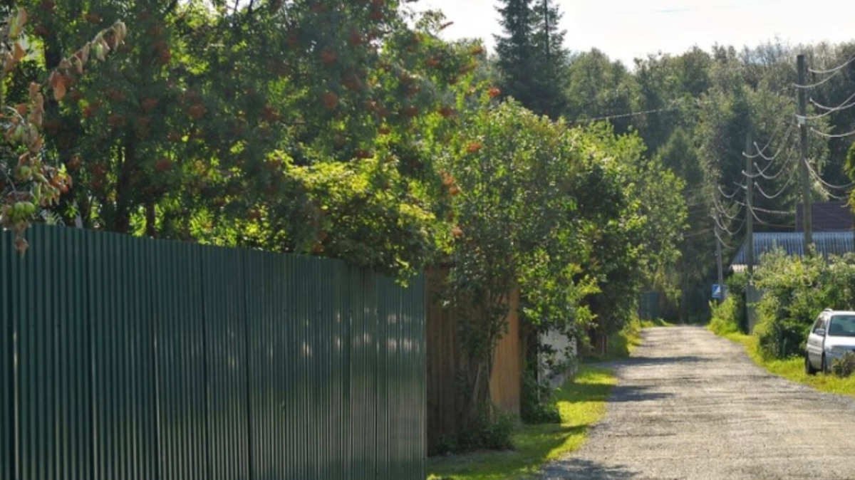 Фото: пресс-служба Союза садоводов России.