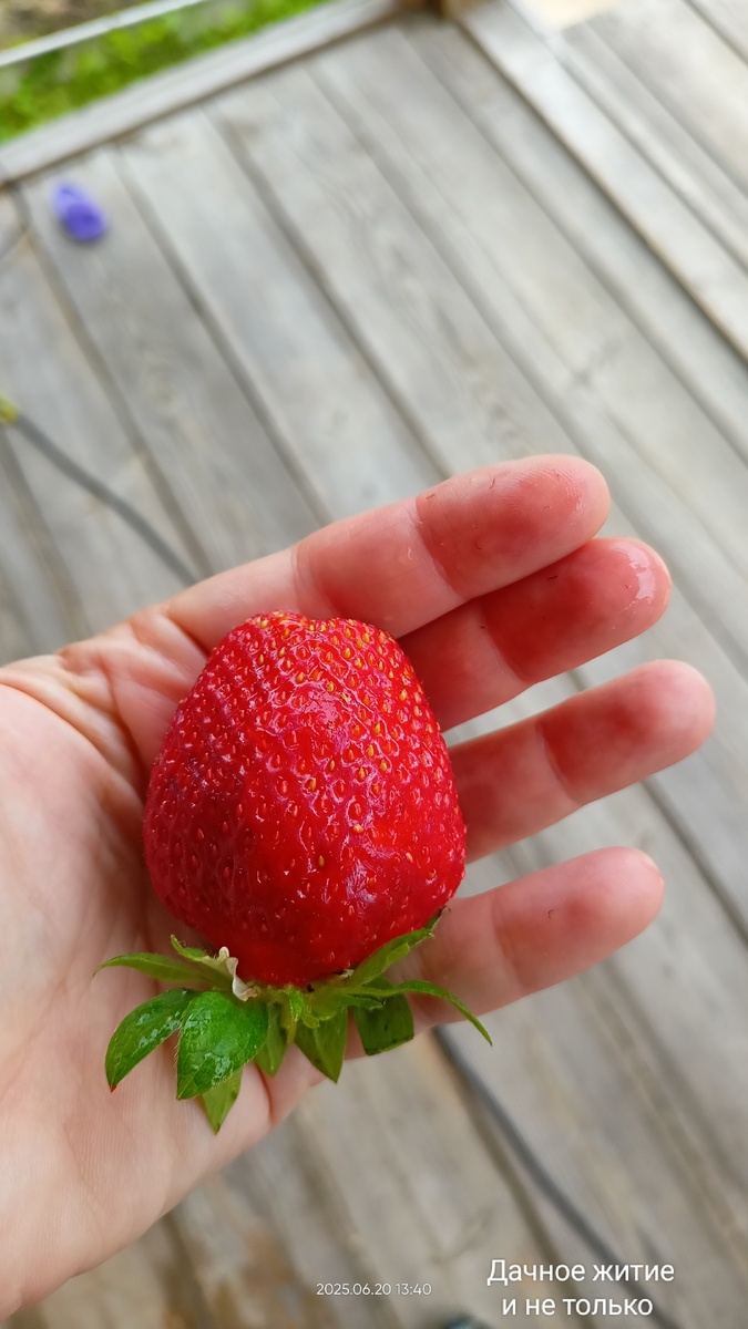 Фото автора. Нормальный размерчик