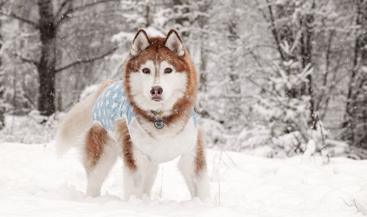 Игорь сегодня. 12 лет почти парню