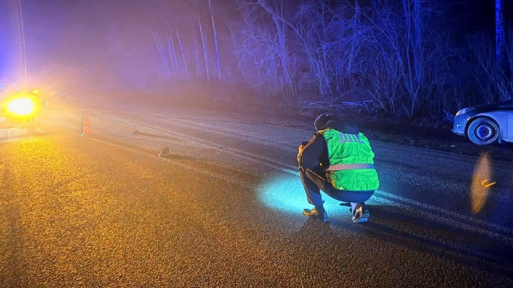    Фото: ГИБДД