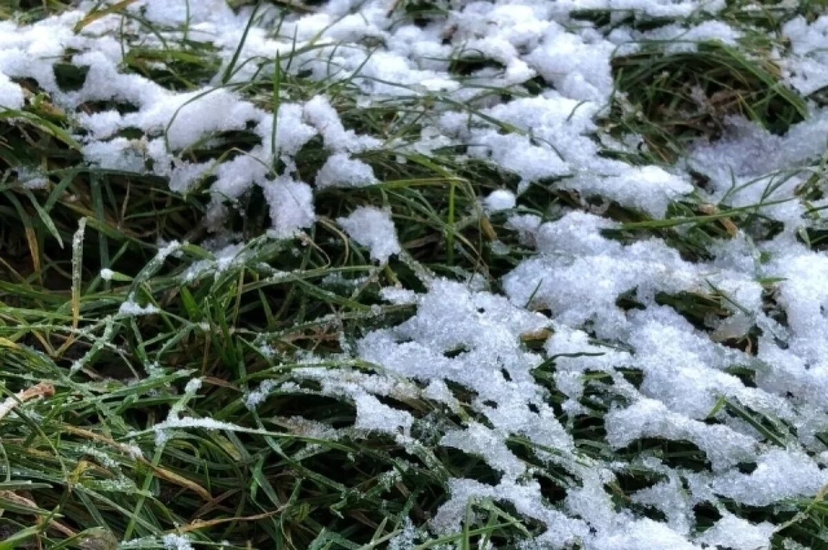    Жители Самары делятся фотографиями первого снега