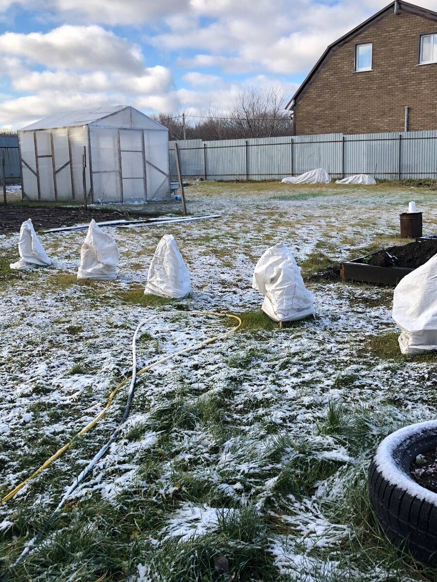    Первый снег в Самарской области Фото: АиФ в Самаре/ Елена Прекрасная