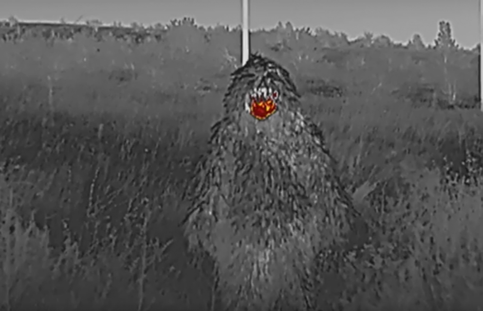 Маскировочный костюм ZaVOZ в реальных условиях