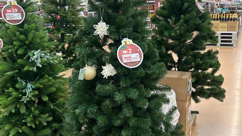     Искусственные елки в «Ашане». Берникова Мария