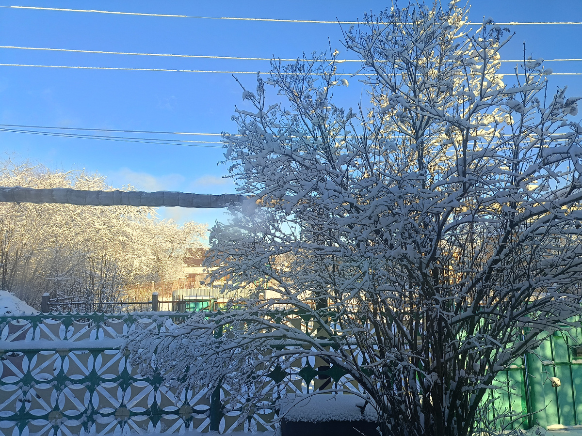 Из окна сфоткала