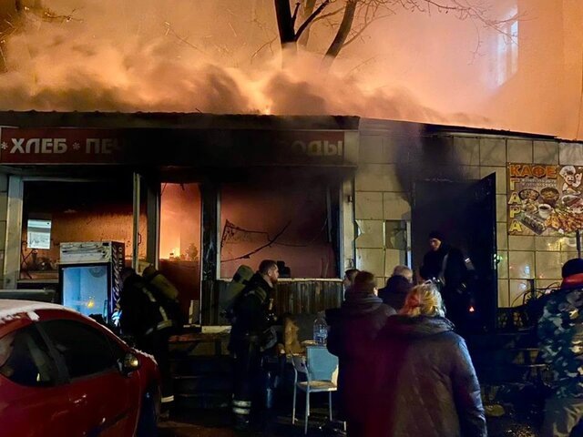    Фото: телеграм-канал "СК Подмосковья"