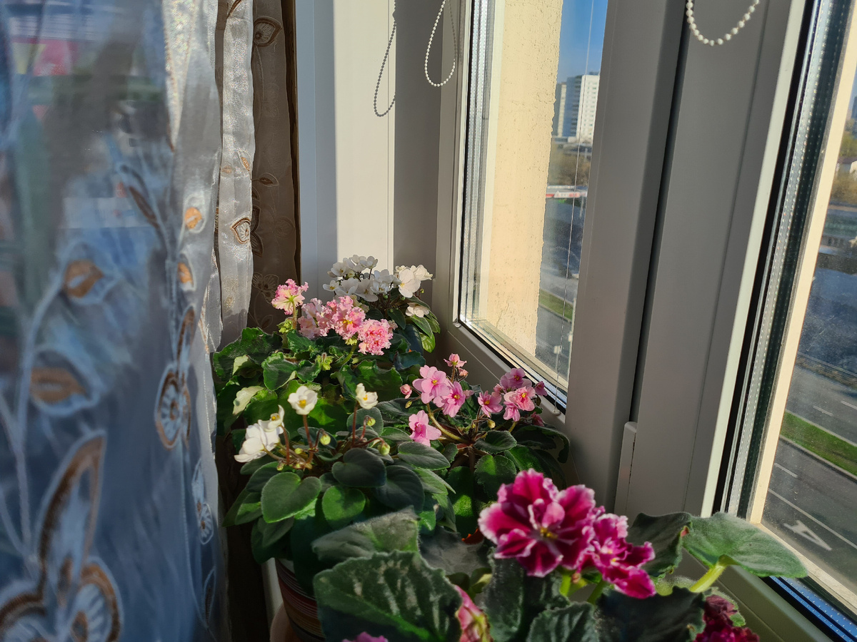 Фото из личного архива. 