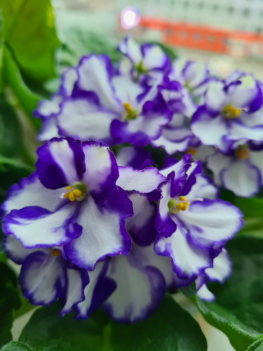 Фото из личного архива.