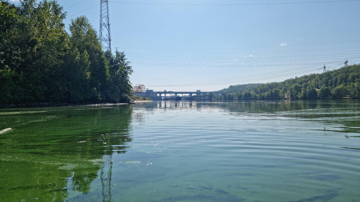 Представляю диалог капитанов по рации: "Петрович, ты видишь этот плавающий огурец? Он нам не мешает?" — "Да пусть плывет, может, это новый вид буйка". 🥒
