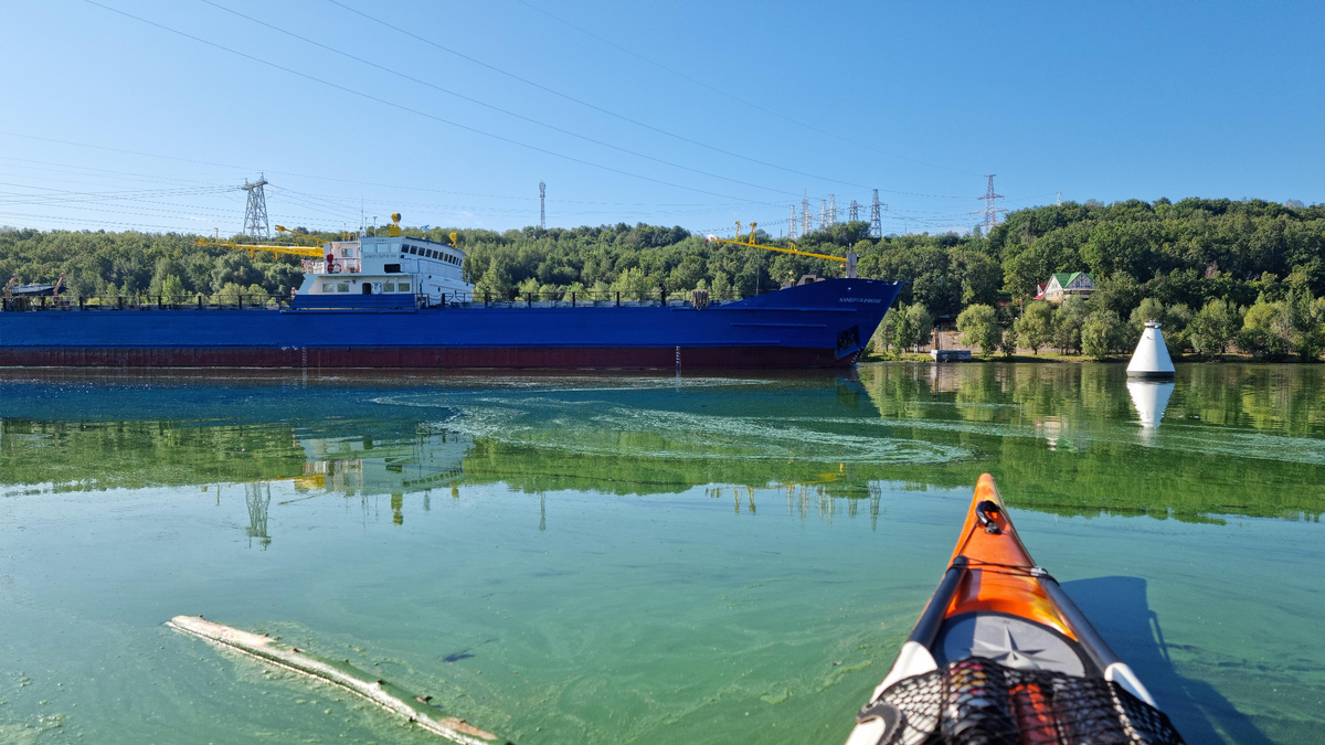 Представляю диалог капитанов по рации: "Петрович, ты видишь этот плавающий огурец? Он нам не мешает?" — "Да пусть плывет, может, это новый вид буйка". 🥒