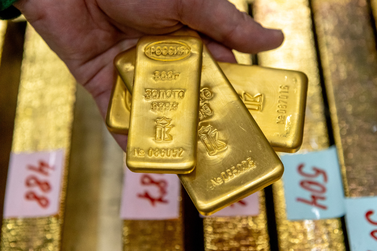 Фото: Олег Золото
