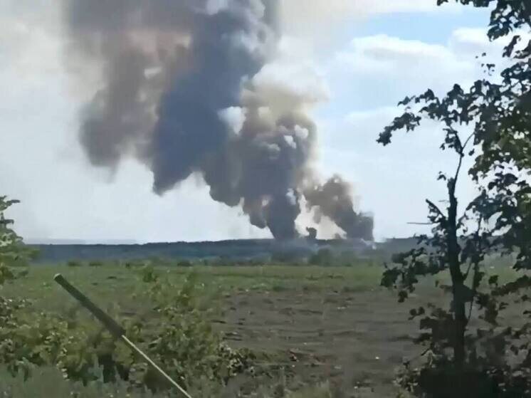     Фото: кадр архивного видео Минобороны России.