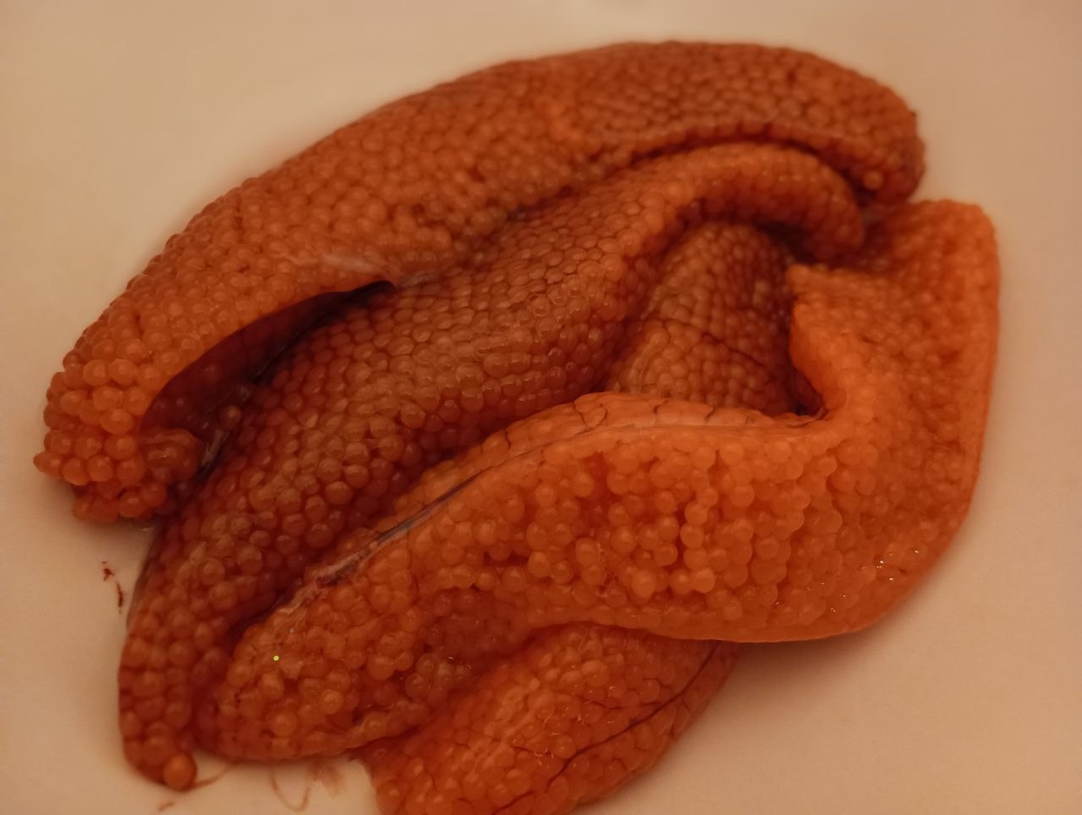  В ноябре пойманная форель чаще всего оказывается с икрой. Фото: ирина Горбачева