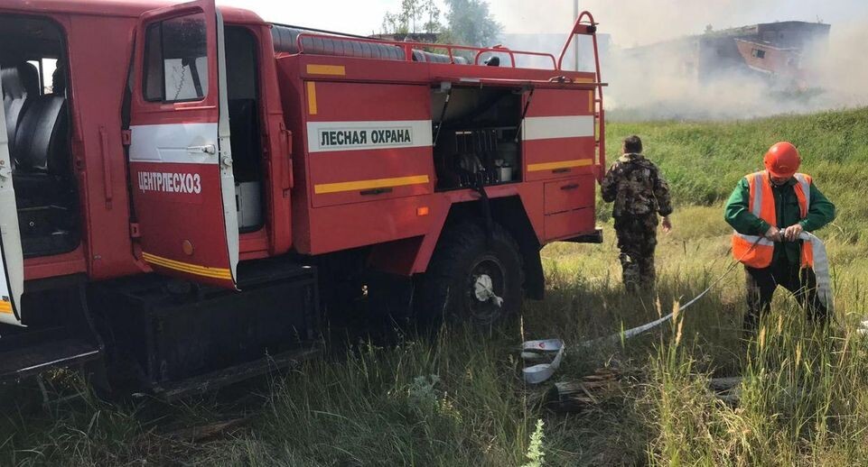    Комитет лесного хозяйства Московской области