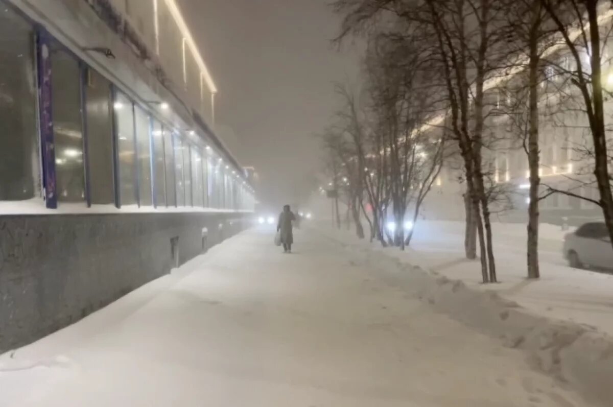    «Сугробы по пояс!»