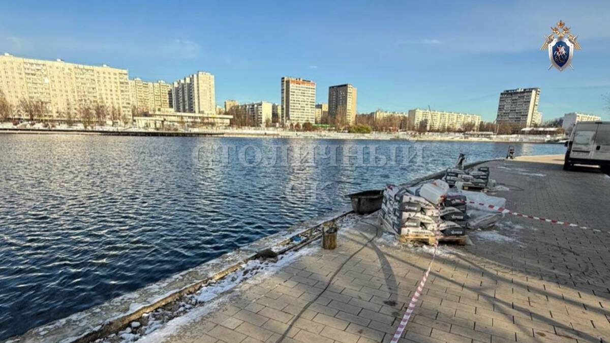    Фото: Telegram / Столичный СК