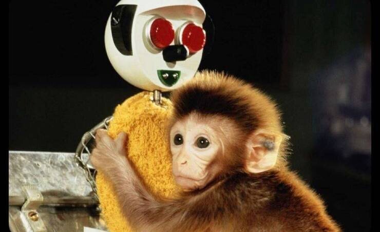 ИИ без сознания: почему нейросети никогда не смогут стать человеком