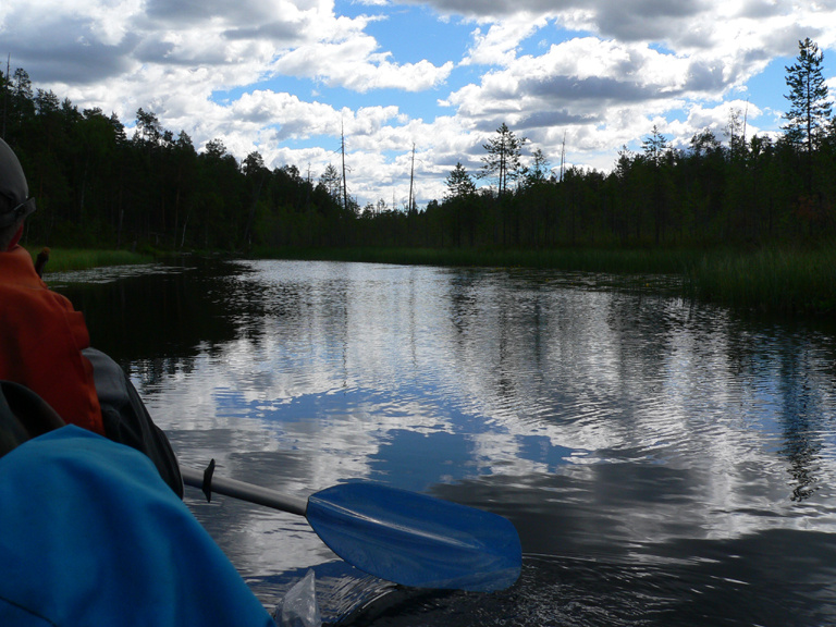 Карелия, р.Поньгома