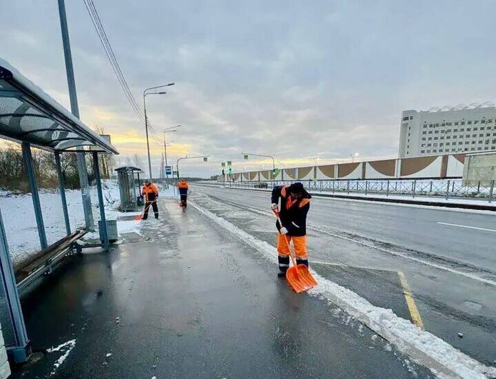     Фото: Комитет по благоустройству Санкт-Петербурга.