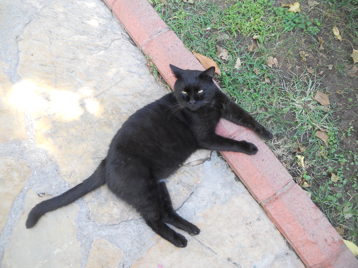 Авторское фото.