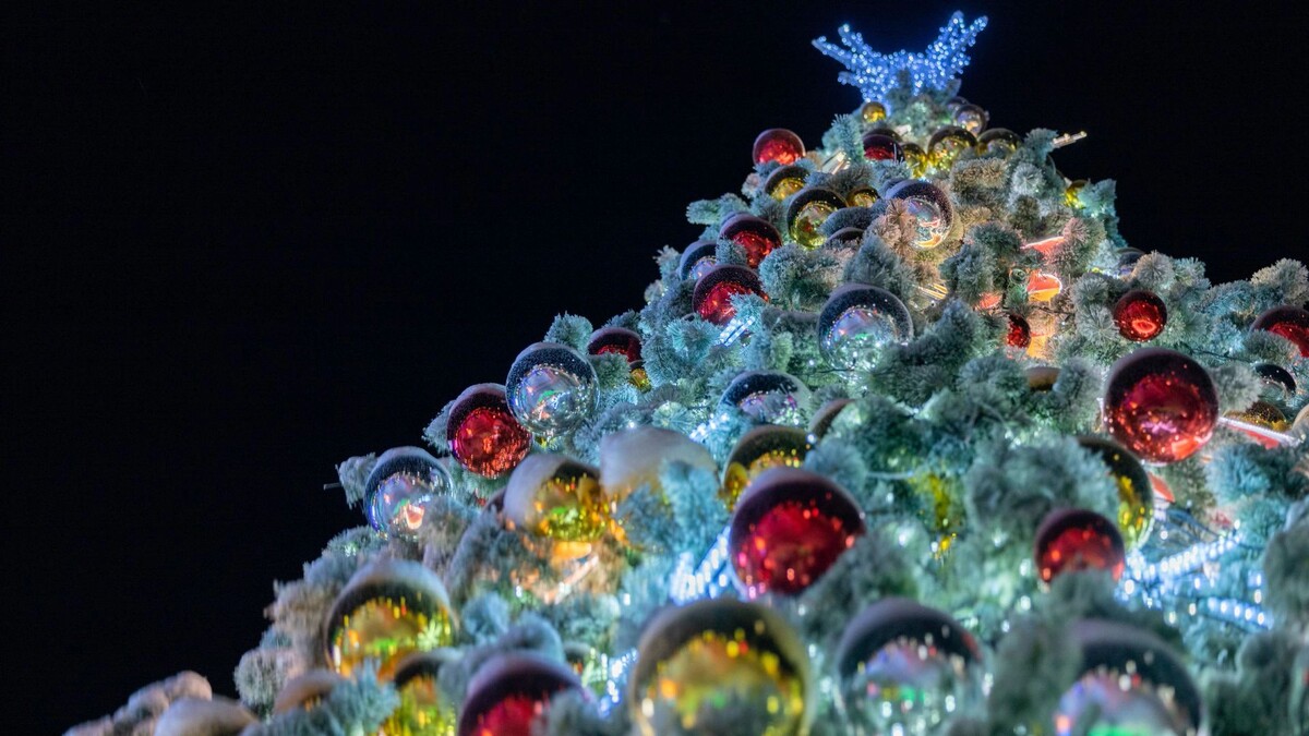    Фото: Федор Воронов/«Ямал-Медиа»