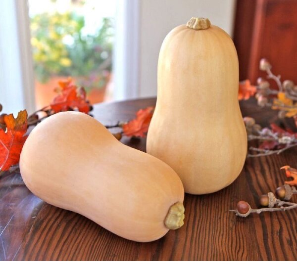 Яндекс Картинки.