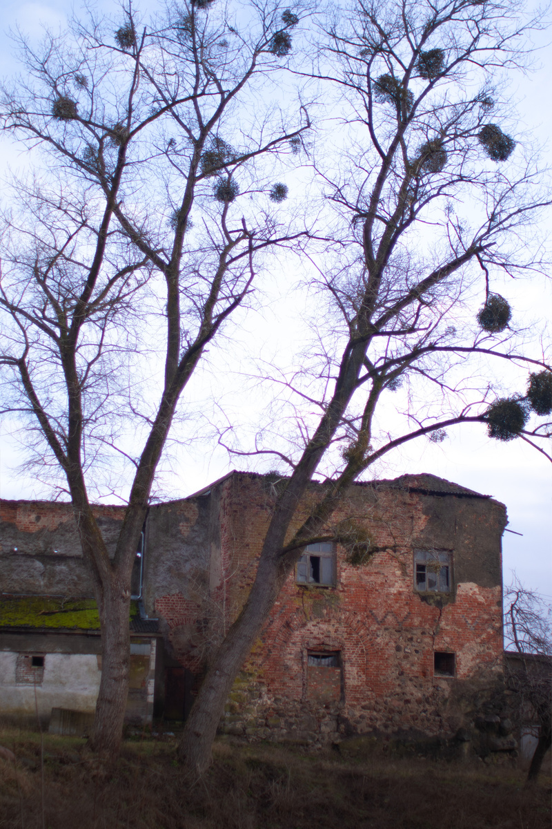 замок Лабиау (фото 2025 г.)