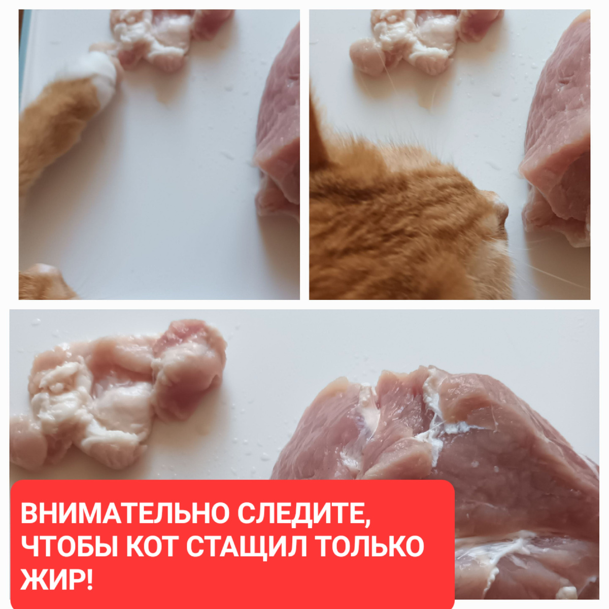 А то останетесь без ужина!