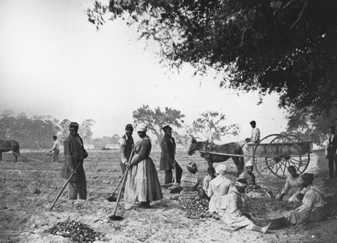 Фото из общих источников.