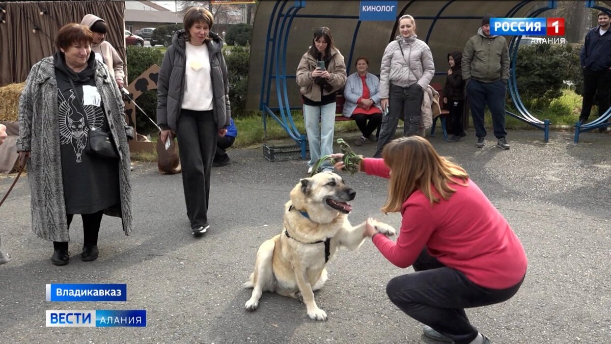    Фото: Лента новостей Владикавказа