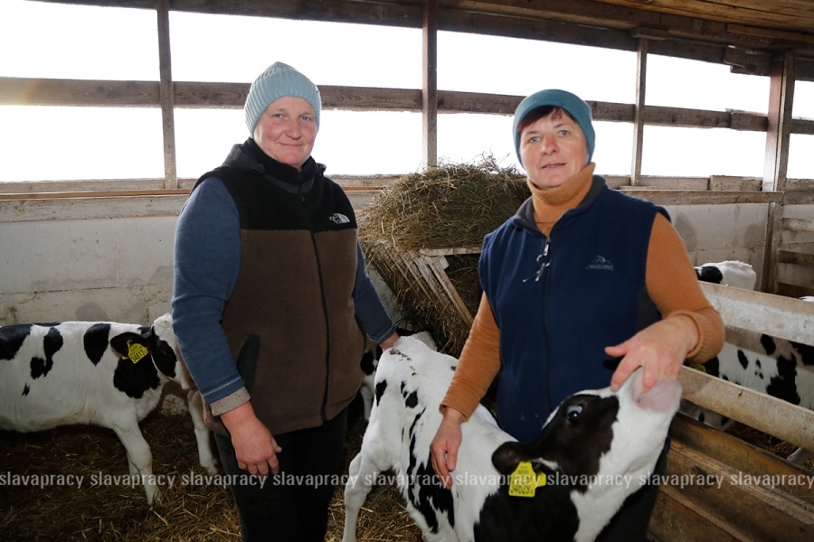     ОАО "Тимирязевский": как команда профессионалов преодолевает трудности и добивается результатов