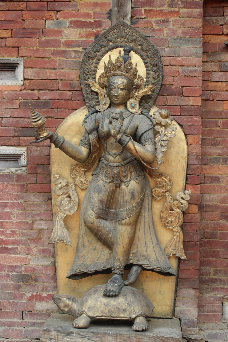 На черепахе